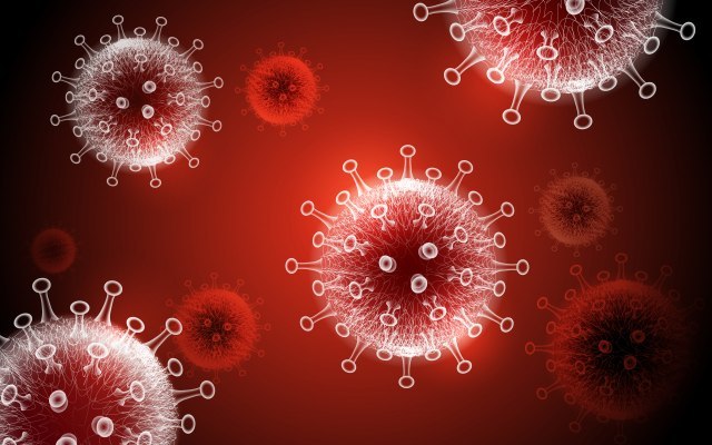Postojala i srpska varijanta virusa